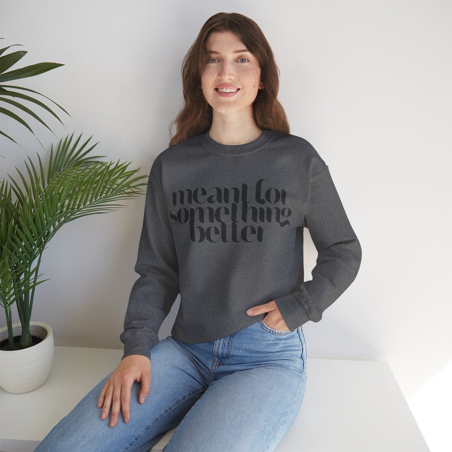 Meant For Something Better Sweatshirt